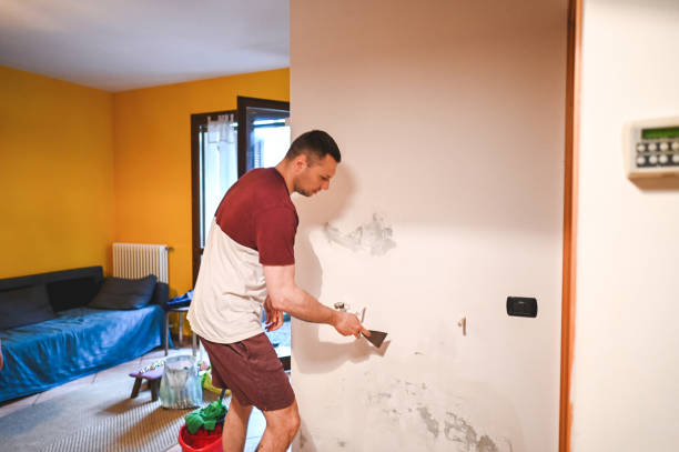 Best Mold Remediation for Specific Building Types in West Athens, CA